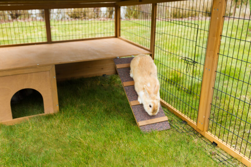 Outdoor pen with breakout barrier