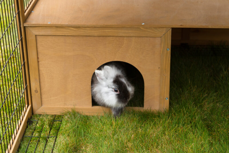 Outdoor pen with breakout barrier