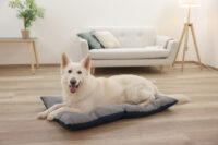 Pet Cushion Ely