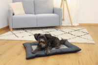 Pet Cushion Platin Ortho