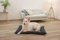 Pet Cushion Platin Ortho