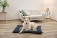 Pet Cushion Platin Ortho