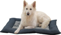 Pet Cushion Platin Ortho