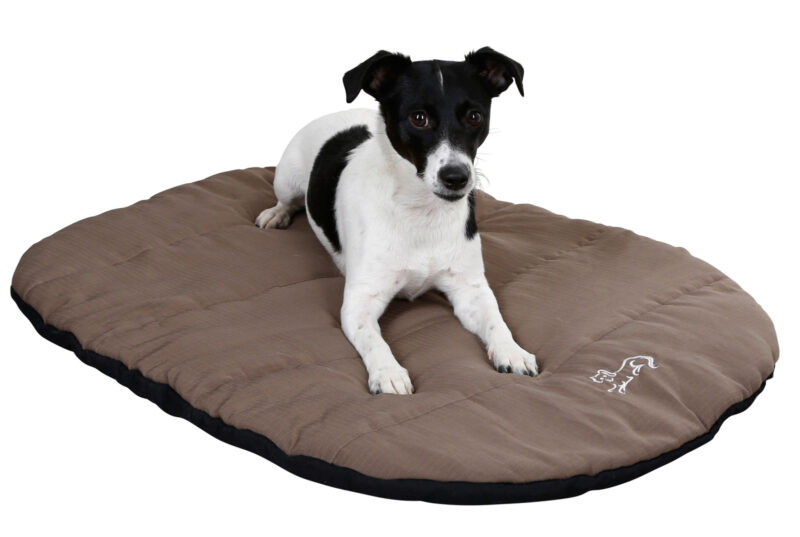 Pet Cushion Traveller