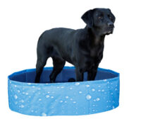 Piscine pour chien Bubble