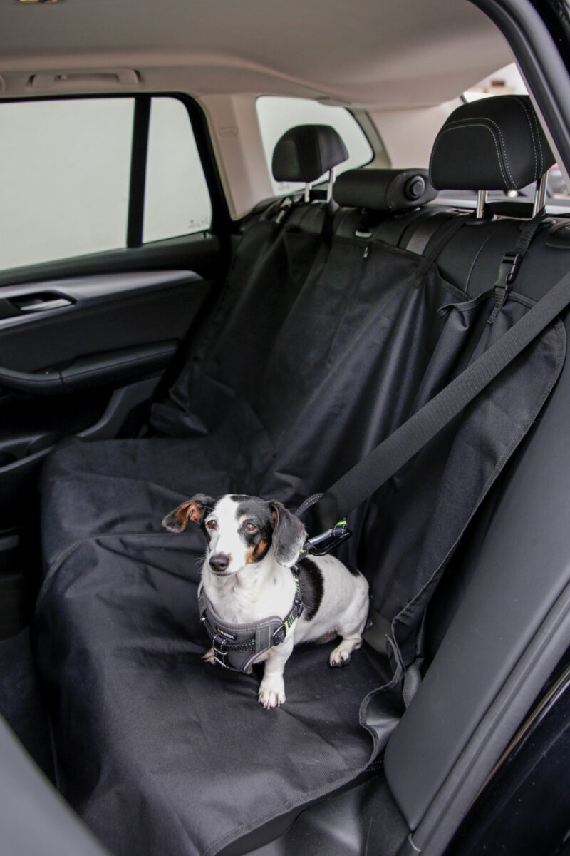 Protective rug for car boot