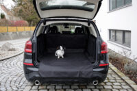 Protective rug for car boot Economy