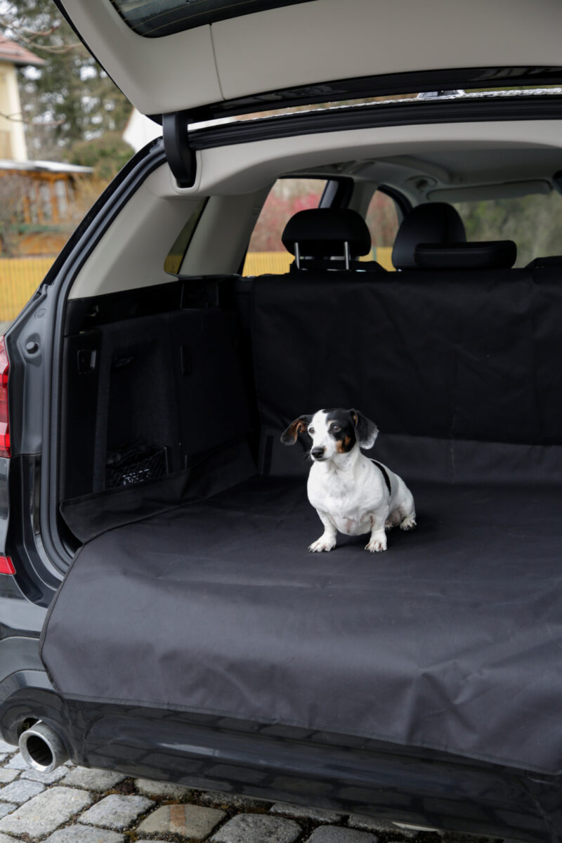 Protective rug for car boot Economy