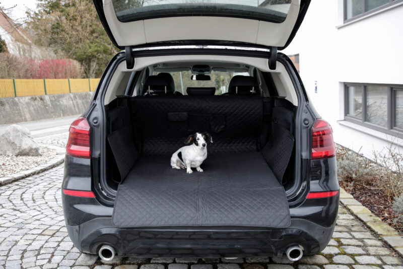 Protective rug for car boot Premium