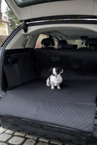 Protective rug for car boot Premium