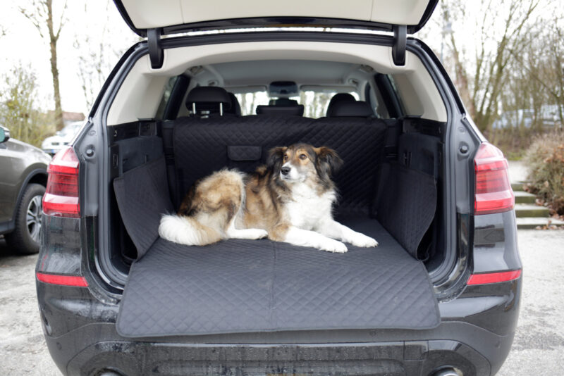 Protective rug for car boot Premium