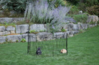 Puppy and Small Animal Pen