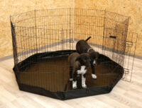 Puppy and Small Animal Pen