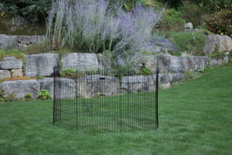 Puppy and Small Animal Pen