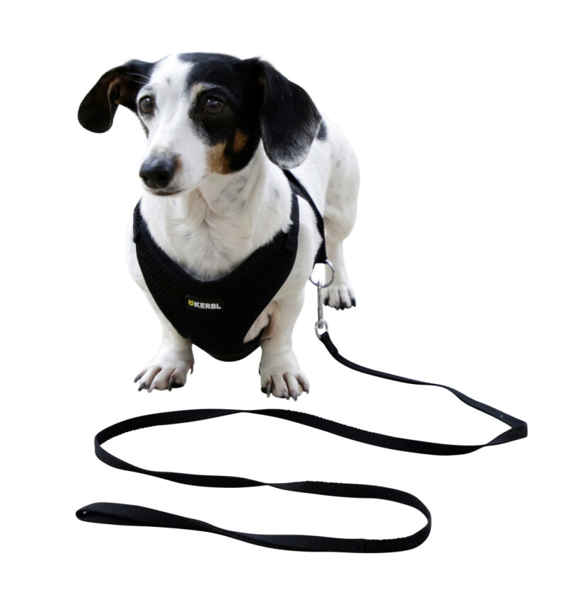 Puppy Harness