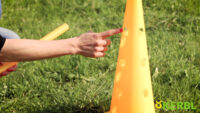 Pylon Hurdle Set Agility