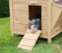 Rabbit Hutch XXL Vario