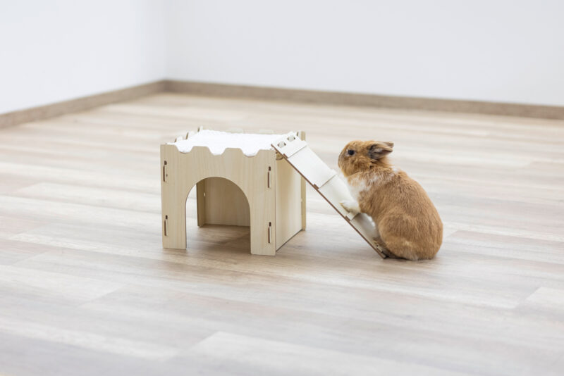 Rodent Castle with Ramp