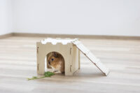 Rodent Castle with Ramp