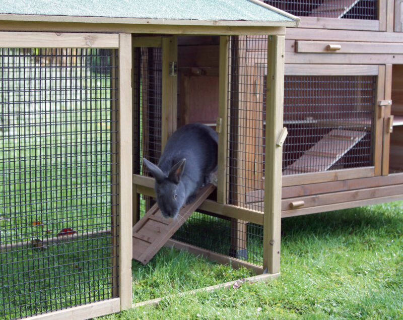 Rodent House Appartement Flat