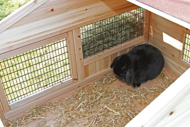 Rodent House Tyrol Alpin