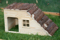 Rodent House with Ramp Nature