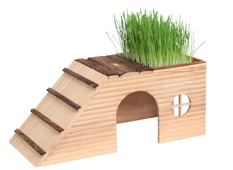 Rodent House with Ramp Nature