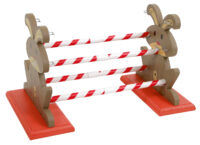 Rodent Obstacle Agility