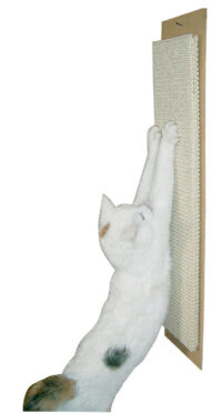 Scratching Board Maxi