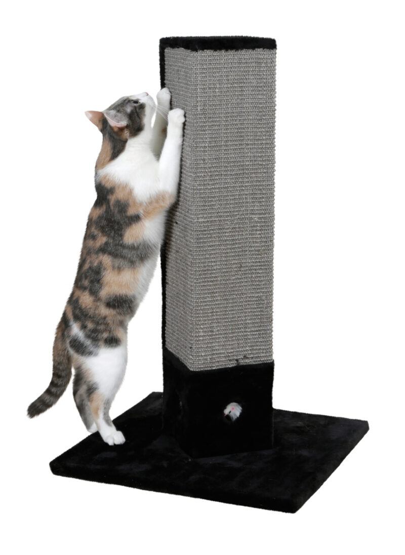 Scratching Post 4-Corner