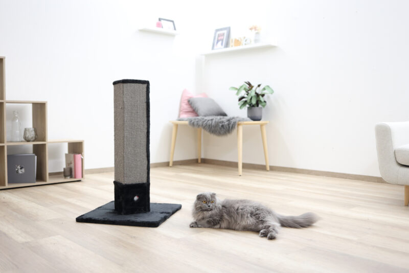 Scratching Post 4-Corner