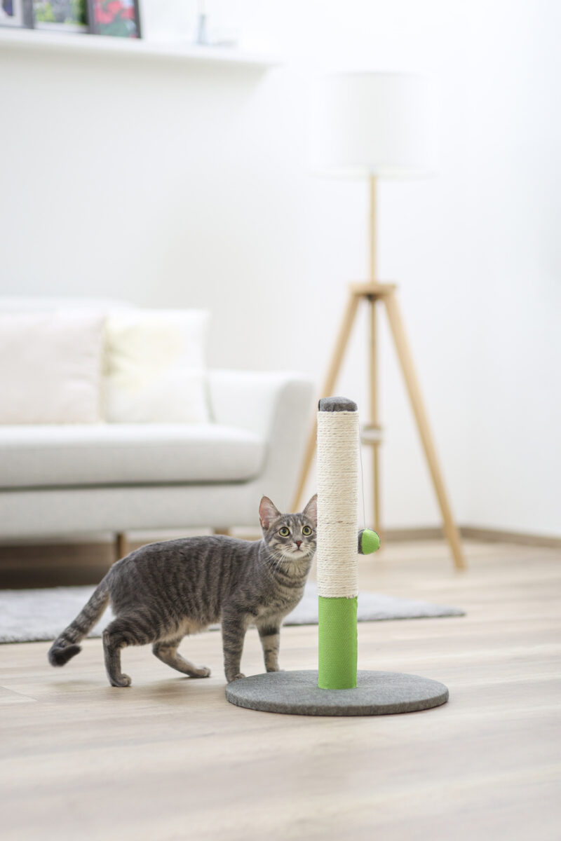 Scratching Post Opal Basic