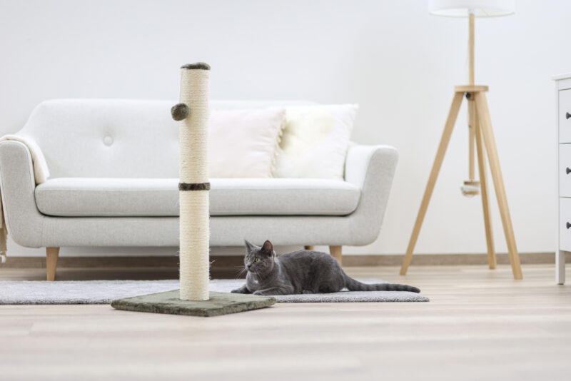 Scratching Post Opal Maxi