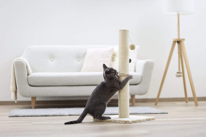 Scratching Post Opal Maxi