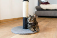 Scratching Post Opal Pro