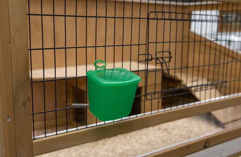 Small animal bowls