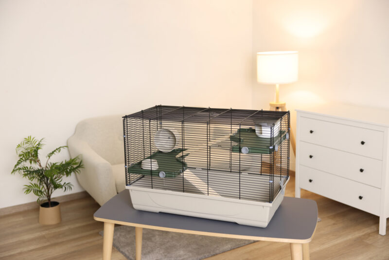 Small Animal Cage Flat Nature