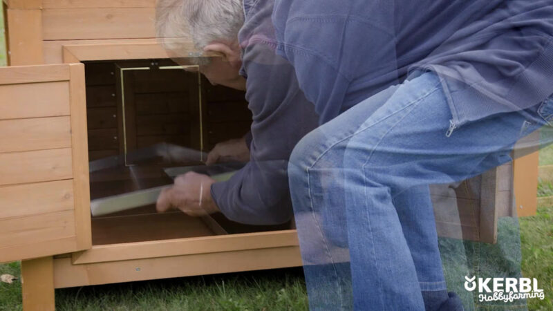 Small animal pen for rabbits or chickens