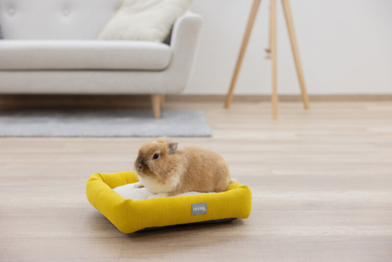 Snuggle bed for small animals