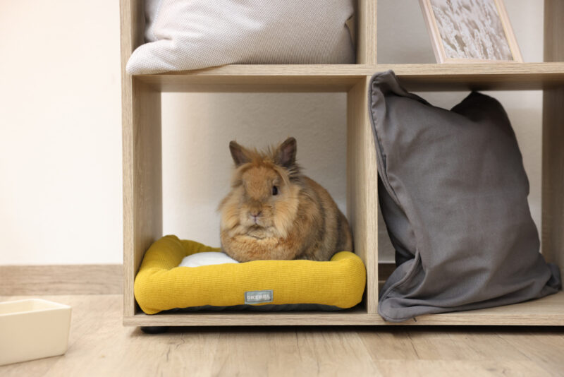 Snuggle bed for small animals