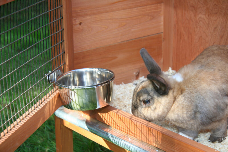 Stainless steel bowl