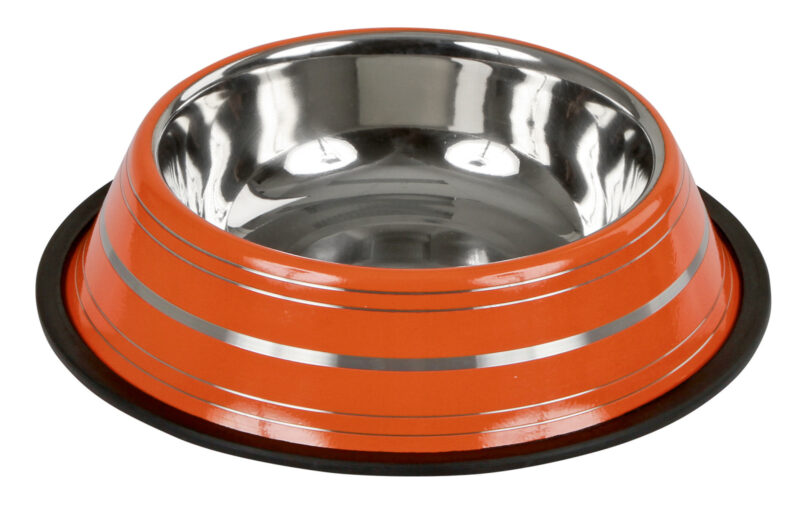 Stainless Steel Bowl colourful