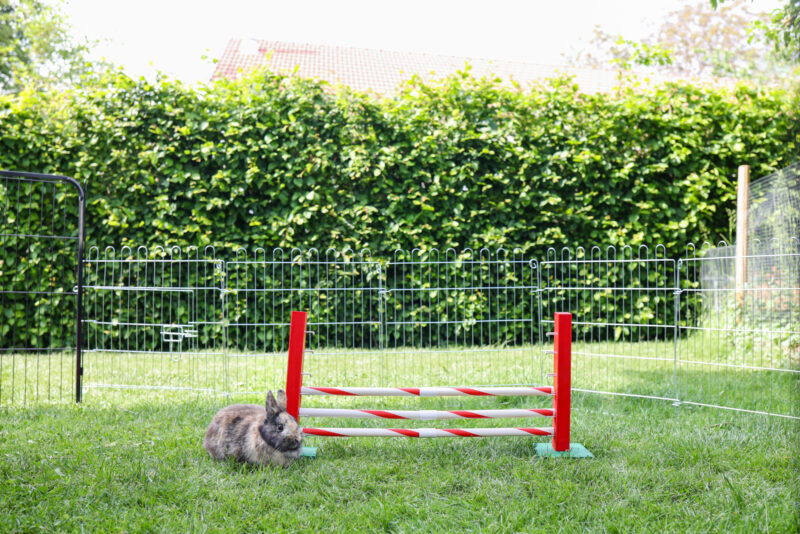 Steilsprung Agility