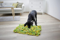 Tapis à renifler pour chien