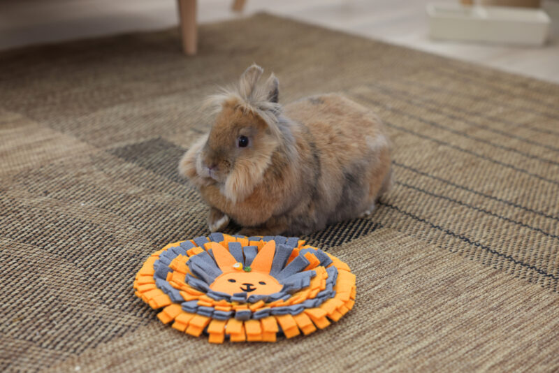 Tapis à renifler pour chien