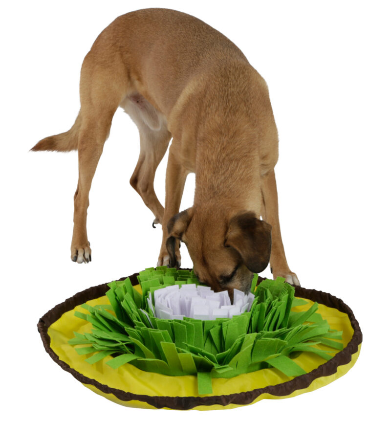 Tapis à renifler pour chien Bowl