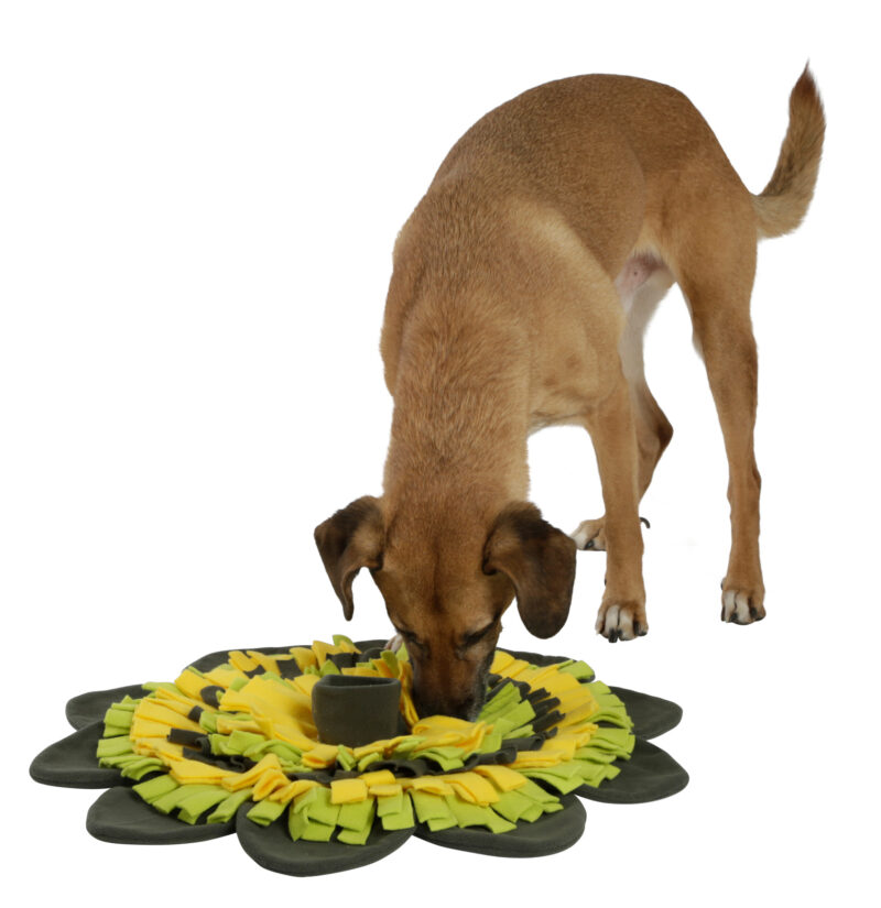 Tapis à renifler pour chien Sunflower