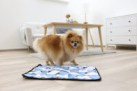 Tapis à renifler pour chien Waffle