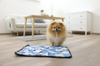 Tapis à renifler pour chien Waffle