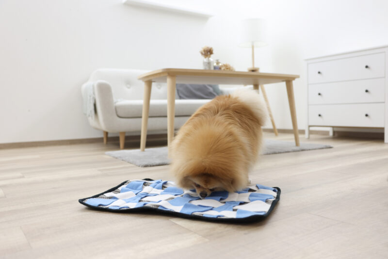 Tapis à renifler pour chien Waffle